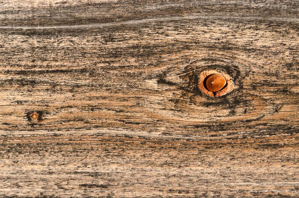 Auge im Holz