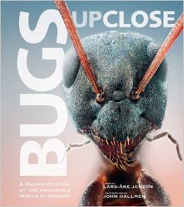 Buch: BUGS UP CLOSE