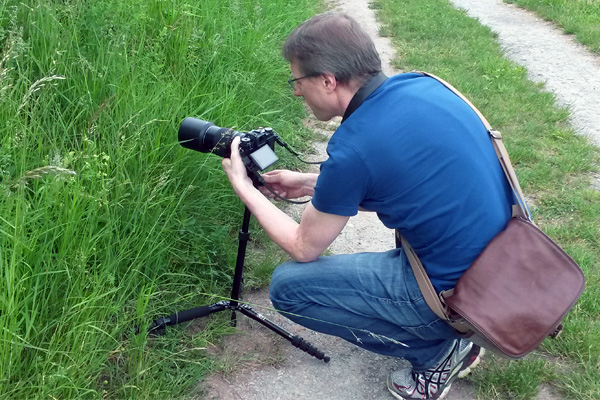 Fotograf beim Focus Stacking Wildlife